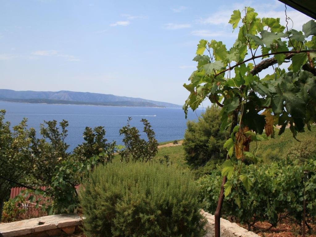 Vineyard Cottages - Murvica Exterior photo
